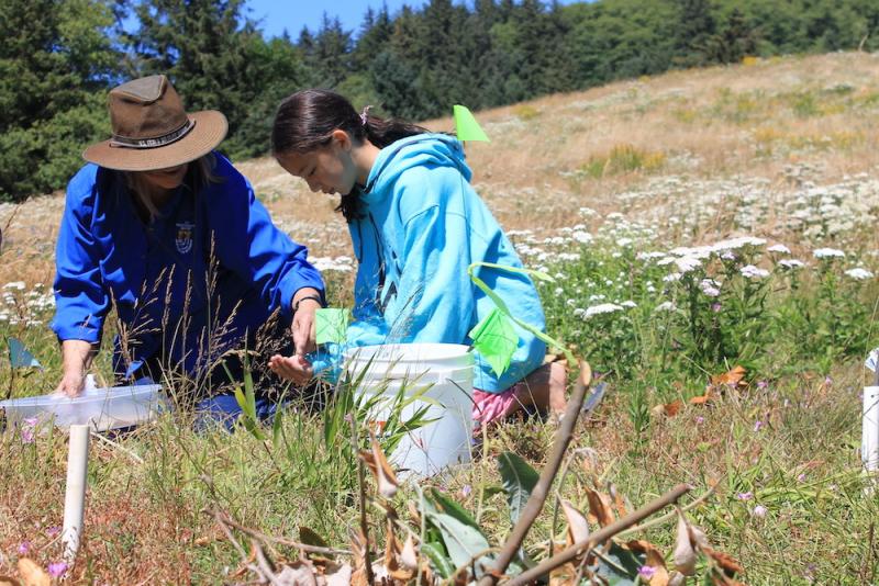 Two people bent over prairie grasses